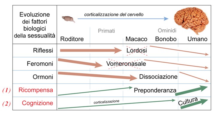 schema di sintesi
