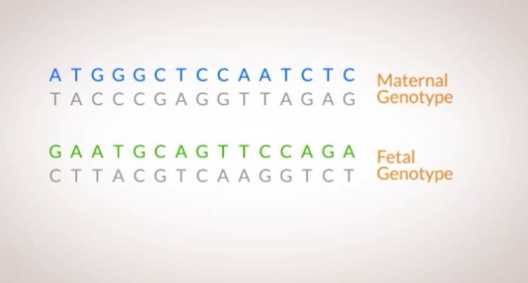 Panorama foto 10 DNA  fetale e materno
